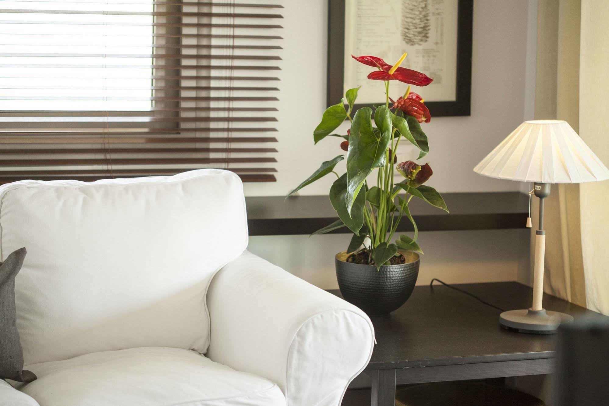 Ammouda Villas خالكيذيكي المظهر الخارجي الصورة